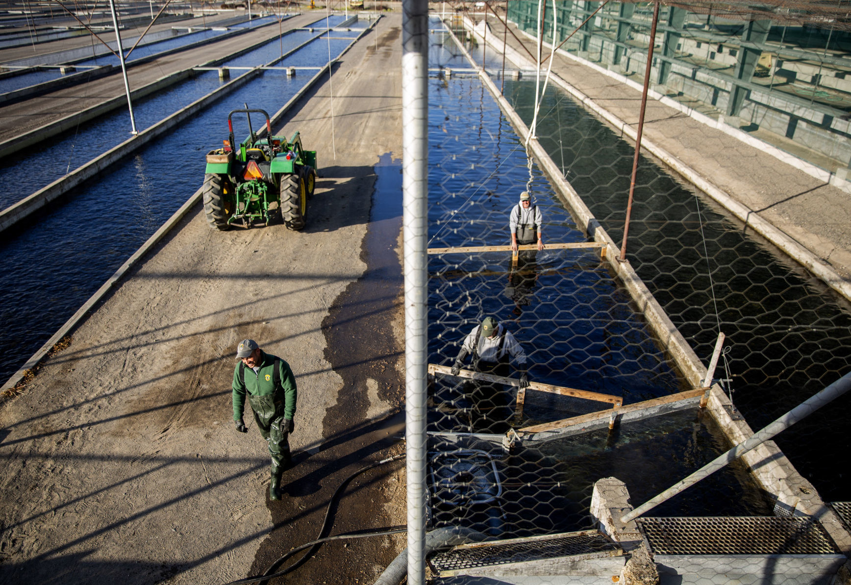 Aquaculture water